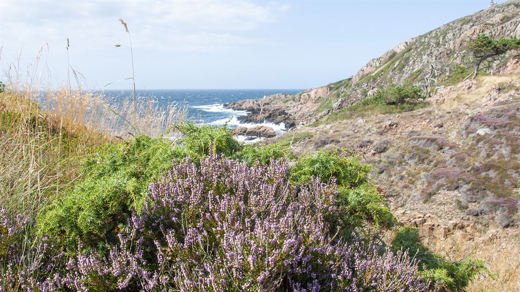 Utsikt över havet vid klipporna i Höganäs