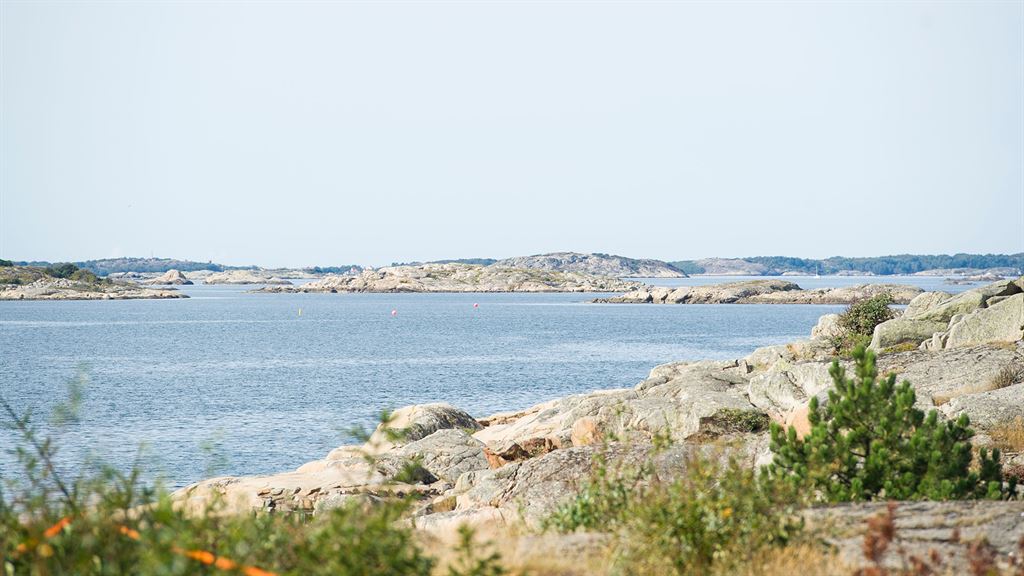 Klippor och hav i Kullavik