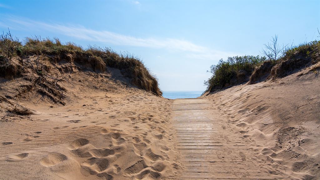 En gång över klitterna på Skrea Strand