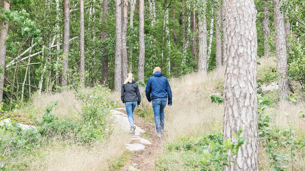 Par som går i skogen